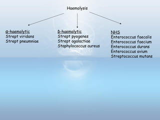 Haemolysis
β-haemolytic
Strept pyogenes
Strept agalactiae
Staphylococcus aureus
α-haemolytic
Strept viridans
Strept pneumniae
NHS
Enterococcus faecalis
Enterococcus faecium
Enterococcus durans
Enterococcus avium
Streptococcus mutans
 
