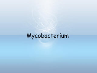 Mycobacterium
 