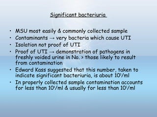 Significant bacteriuria
• MSU most easily & commonly collected sample
• Contaminants → very bacteria which cause UTI
• Isolation not proof of UTI
• Proof of UTI → demonstration of pathogens in
freshly voided urine in No. > those likely to result
from contamination
• Edward Kass suggested that this number, taken to
indicate significant bacteriuria, is about 105
/ml
• In properly collected sample contamination accounts
for less than 104
/ml & usually for less than 103
/ml
 
