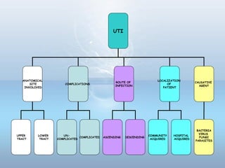 UTI
ANATOMICAL
SITE
INVOLOVED
COMPLICATIONS
ROUTE OF
INFECTION
LOCALIZATION
OF
PATIENT
UPPER
TRACT
LOWER
TRACT
UN-
COMPLICATED
COMPLICATED ASCENDING DESCENDING
COMMUNITY
ACQUIRED
HOSPITAL
ACQUIRED
CAUSATIVE
AGENT
BACTERIA
VIRUS
FUNGI
PARASITES
 