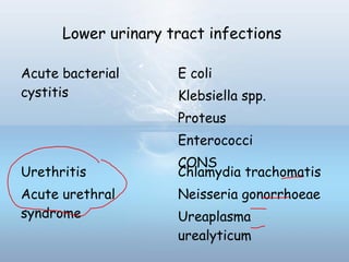 Lower urinary tract infections
Acute bacterial
cystitis
E coli
Klebsiella spp.
Proteus
Enterococci
CONS
Urethritis
Acute urethral
syndrome
Chlamydia trachomatis
Neisseria gonorrhoeae
Ureaplasma
urealyticum
 