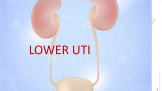 LOWER UTI
 