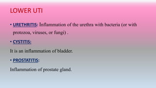 LOWER UTI
• URETHRITIS: Inflammation of the urethra with bacteria (or with
protozoa, viruses, or fungi) .
• CYSTITIS:
It is an inflammation of bladder.
• PROSTATITIS:
Inflammation of prostate gland.
 