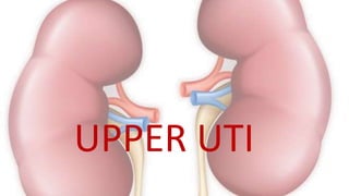 UPPER UTI
 
