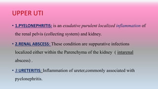 UPPER UTI
• 1.PYELONEPHRITIS: is an exudative purulent localized inflammation of
the renal pelvis (collecting system) and kidney.
• 2.RENAL ABSCESS: These condition are suppurative infections
localized either within the Parenchyma of the kidney ( intarenal
abscess) .
• 3.URETERITIS: Inflammation of ureter,commonly associated with
pyelonephritis.
 