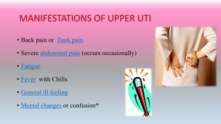 MANIFESTATIONS OF UPPER UTI
• Back pain or flank pain
• Severe abdominal pain (occurs occasionally)
• Fatigue
• Fever with Chills
• General ill feeling
• Mental changes or confusion*
 