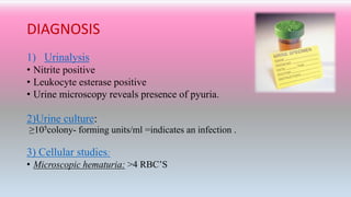 DIAGNOSIS
1) Urinalysis
• Nitrite positive
• Leukocyte esterase positive
• Urine microscopy reveals presence of pyuria.
2)Urine culture:
≥105colony- forming units/ml =indicates an infection .
3) Cellular studies:
• Microscopic hematuria: >4 RBC’S
 