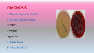 DIAGNOSIS
4) Rapid Diagnostic Method:
Multistrip dipstick testing
WBC’s
Protein
glucose
5) Gram Stain
6) Tests for STD’s
 
