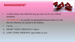 MANAGEMENT
• A mild urinary tract infection may go away on its own without
treatment.
• ANTIBIOTICS are usually recommended because there is a risk
that the infection can spread to the kidneys.
• Can be………..
1) SHORT TERM THERAPY(3-7days)
2) LONG TERM THERAPY( upto 6mths or yrs)
 