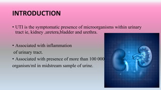 INTRODUCTION
• UTI is the symptomatic presence of microorganisms within urinary
tract ie, kidney ,uretera,bladder and urethra.
• Associated with inflammation
of urinary tract.
• Associated with presence of more than 100 000
organism/ml in midstream sample of urine.
 