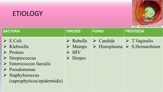 ETIOLOGY
BACTERIA VIRUSES FUNGI PROTOZOA
 E.Coli
 Klebsiella
 Proteus
 Streptococcus
 Enterococcus faecalis
 Pseudomonas
 Staphylococcus
(saprophyticus/epidermidis)
 Rubella
 Mumps
 HIV
 Herpes
 Candida
 Histoplasma
 T.Vaginalis
 S.Hematobium
 