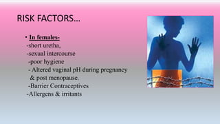 RISK FACTORS…
• In females-
-short uretha,
-sexual intercourse
-poor hygiene
- Altered vaginal pH during pregnancy
& post menopause.
-Barrier Contraceptives
-Allergens & irritants
 