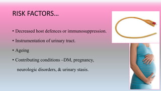 RISK FACTORS…
• Decreased host defences or immunosuppression.
• Instrumentation of urinary tract.
• Ageing
• Contributing conditions –DM, pregnancy,
neurologic disorders, & urinary stasis.
 