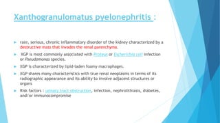 Xanthogranulomatus pyelonephritis :
 rare, serious, chronic inflammatory disorder of the kidney characterized by a
destructive mass that invades the renal parenchyma.
 XGP is most commonly associated with Proteus or Escherichia coli infection
or Pseudomonas species.
 XGP is characterized by lipid-laden foamy macrophages.
 XGP shares many characteristics with true renal neoplasms in terms of its
radiographic appearance and its ability to involve adjacent structures or
organs
 Risk factors : urinary tract obstruction, infection, nephrolithiasis, diabetes,
and/or immunocompromise
 