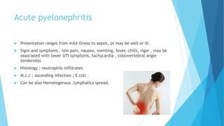 Acute pyelonephritis
 Presentation ranges from mild illness to sepsis, pt may be well or ill.
 Signs and symptoms : loin pain, nausea, vomiting, fever, chills, rigor , may be
associated with lower UTI symptoms, tachycardia , costovertebral angle
tenderness
 Histology : neutrophils infiltrates
 M.c.c : ascending infection ; E.coli .
 Can be also Hematogenous ,lymphatics spread.
 