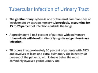 Tubercular Infection of Urinary Tract
• The genitourinary system is one of the most common sites of
involvement by extrapulmonary tuberculosis, accounting for
15 to 20 percent of infections outside the lungs.
• Approximately 4 to 8 percent of patients with pulmonary
tuberculosis will develop clinically significant genitourinary
infection.
• TB occurs in approximately 10 percent of patients with AIDS
and involves at least one extra-pulmonary site in nearly 50
percent of the patients, with kidneys being the most
commonly involved genitourinary site.
 