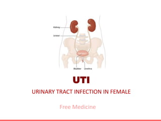 UTI
URINARY TRACT INFECTION IN FEMALE
Free Medicine
 
