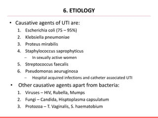 6. ETIOLOGY
• Causative agents of UTI are:
1. Escherichia coli (75 – 95%)
2. Klebsiella pneumoniae
3. Proteus mirabilis
4. Staphylococcus saprophyticus
 In sexually active women
5. Streptococcus faecalis
6. Pseudomonas aeuruginosa
 Hospital acquired infections and catheter associated UTI
• Other causative agents apart from bacteria:
1. Viruses – HIV, Rubella, Mumps
2. Fungi – Candida, Hisptoplasma capsulatum
3. Protozoa – T. Vaginalis, S. haematobium
 