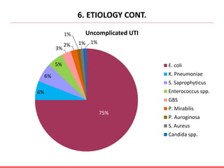 6. ETIOLOGY CONT.
75%
6%
6%
5%
3%
2%
1%
1% 1%
Uncomplicated UTI
E. coli
K. Pneumoniae
S. Saprophyticus
Enterococcus spp.
GBS
P. Mirabilis
P. Auroginosa
S. Aureus
Candida spp.
 