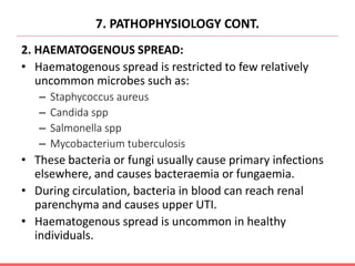 7. PATHOPHYSIOLOGY CONT.
2. HAEMATOGENOUS SPREAD:
• Haematogenous spread is restricted to few relatively
uncommon microbes such as:
– Staphycoccus aureus
– Candida spp
– Salmonella spp
– Mycobacterium tuberculosis
• These bacteria or fungi usually cause primary infections
elsewhere, and causes bacteraemia or fungaemia.
• During circulation, bacteria in blood can reach renal
parenchyma and causes upper UTI.
• Haematogenous spread is uncommon in healthy
individuals.
 
