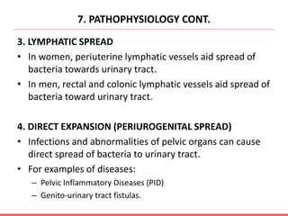 7. PATHOPHYSIOLOGY CONT.
3. LYMPHATIC SPREAD
• In women, periuterine lymphatic vessels aid spread of
bacteria towards urinary tract.
• In men, rectal and colonic lymphatic vessels aid spread of
bacteria toward urinary tract.
4. DIRECT EXPANSION (PERIUROGENITAL SPREAD)
• Infections and abnormalities of pelvic organs can cause
direct spread of bacteria to urinary tract.
• For examples of diseases:
– Pelvic Inflammatory Diseases (PID)
– Genito-urinary tract fistulas.
 