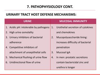 7. PATHOPHYSIOLOGY CONT.
URINARY TRACT HOST DEFENSE MECHANISMS:
URINE MUCOSAL IMMUNITY
1. Acidic pH: intolerable by pathogens
2. High urine osmolality
3. Urinary inhibitors of bacterial
adherence
4. Competitive inhibitors of
attachment of uroepithelial cells
5. Mechanical flushing of urine flow
6. Unidirectional flow of urine
1. Urothelial secretion of cytokines
and chemokines
2. Mucopolysaccharide lining:
increases difficulty of bacterial
penetration
3. Mucosal IgA
4. In men: prostatic secretions
contain bactericidal zinc and
urethra is longer
 