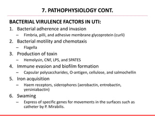 7. PATHOPHYSIOLOGY CONT.
BACTERIAL VIRULENCE FACTORS IN UTI:
1. Bacterial adherence and invasion
– Fimbria, pilli, and adhesive membrane glycoprotein (curli)
2. Bacterial motility and chemotaxis
– Flagella
3. Production of toxin
– Hemolysin, CNF, LPS, and SPATES
4. Immune evasion and biofilm formation
– Capsular polysaccharides, O-antigen, cellulose, and salmochellin
5. Iron acquisition
– Haem receptors, siderophores (aerobactin, entrobactin,
yersiniabactin)
6. Swaming
– Express of specific genes for movements in the surfaces such as
catheter by P. Mirabilis.
 