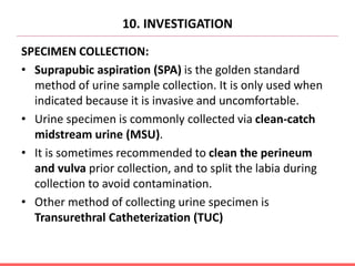 10. INVESTIGATION
SPECIMEN COLLECTION:
• Suprapubic aspiration (SPA) is the golden standard
method of urine sample collection. It is only used when
indicated because it is invasive and uncomfortable.
• Urine specimen is commonly collected via clean-catch
midstream urine (MSU).
• It is sometimes recommended to clean the perineum
and vulva prior collection, and to split the labia during
collection to avoid contamination.
• Other method of collecting urine specimen is
Transurethral Catheterization (TUC)
 