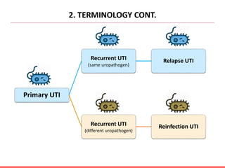 2. TERMINOLOGY CONT.
Primary UTI
Recurrent UTI
(same uropathogen)
Relapse UTI
Recurrent UTI
(different uropathogen)
Reinfection UTI
 