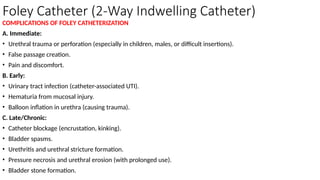 Urinary Tract Infections.pptx (Here we discuss UTI in children) | PPTX
