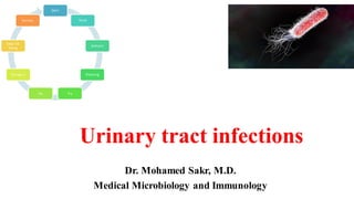 Urinary tract infections in adults male.pdf