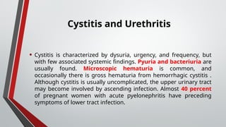 Pyuria Pregnancy Urinary tract infections in adults .pptx