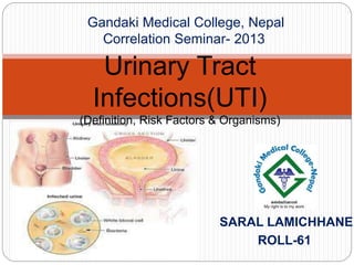 SARAL LAMICHHANE
ROLL-61
Urinary Tract
Infections(UTI)
(Definition, Risk Factors & Organisms)
Gandaki Medical College, Nepal
Correlation Seminar- 2013
 