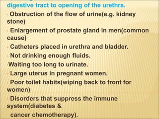 digestive tract to opening of the urethra.
• Obstruction of the flow of urine(e.g. kidney
stone)
• Enlargement of prostate gland in men(common
cause)
• Catheters placed in urethra and bladder.
• Not drinking enough fluids.
•Waiting too long to urinate.
• Large uterus in pregnant women.
• Poor toilet habits(wiping back to front for
women)
• Disorders that suppress the immune
system(diabetes &
cancer chemotherapy).
 