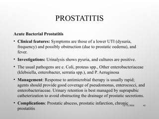 Pyuria In Prostatitis URINARY TRACT INFECTIONS by E.O PASCAL.pptx - 1.pptx