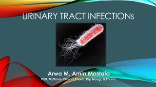 URINARY TRACT INFECTIONs
Arwa M. Amin Mostafa
PhD, M.Pharm Clinical Pharm, Dip Mangt, B.Pharm.
 