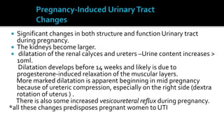   Significant changes in both structure and function Urinary tract
   during pregnancy.
  The kidneys become larger.
  dilatation of the renal calyces and ureters –Urine content increases >
   10ml.
   Dilatation develops before 14 weeks and likely is due to
   progesterone-induced relaxation of the muscular layers.
   More marked dilatation is apparent beginning in mid pregnancy
   because of ureteric compression, especially on the right side (dextra
   rotation of uterus ) .
   There is also some increased vesicoureteral reflux during pregnancy.
*all these changes predisposes pregnant women to UTI
 