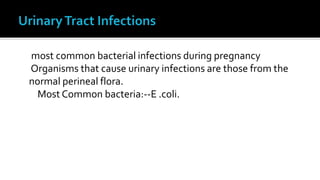 most common bacterial infections during pregnancy
Organisms that cause urinary infections are those from the
normal perineal flora.
  Most Common bacteria:--E .coli.
 