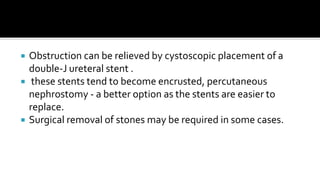    Obstruction can be relieved by cystoscopic placement of a
    double-J ureteral stent .
    these stents tend to become encrusted, percutaneous
    nephrostomy - a better option as the stents are easier to
    replace.
   Surgical removal of stones may be required in some cases.
 