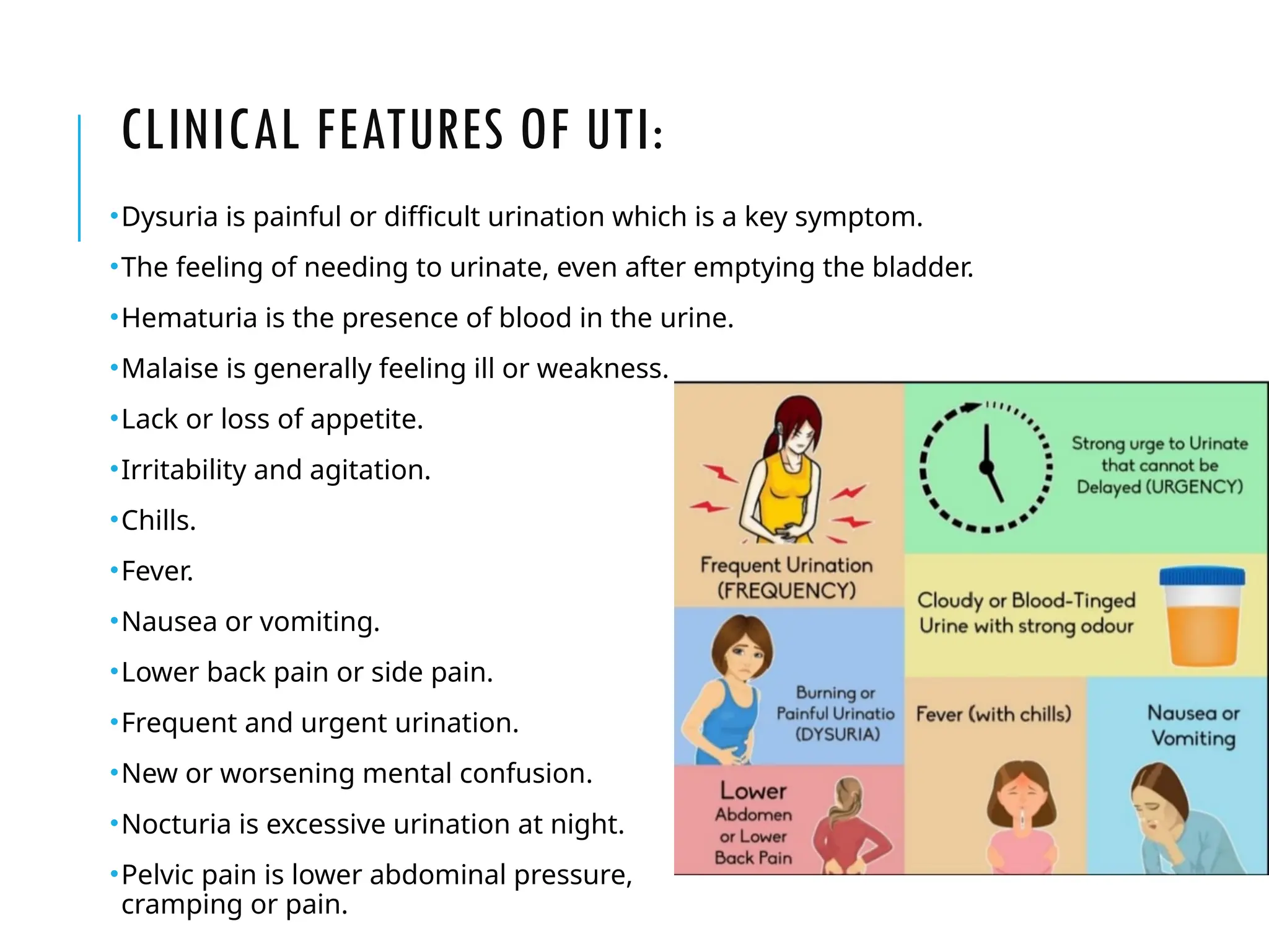 URINARY TRACT INFECTION(UTI) by Dr Prashant.pptx