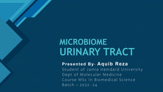 Click to edit Master title style
1
MICROBIOME
URINARY TRACT
Presented By- Aquib Reza
Student of Jamia Hamdard University
Dept of Molecular Medicine
Course MSc In Biomedical Science
Batch – 2022- 24
 