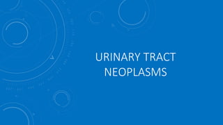 URINARY TRACT
NEOPLASMS
 