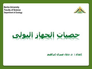 Benha University
Faculty of Science
Department of Zoology
 