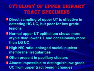 CytoLogy of Upper Urinary
traCt speCimens
Direct sampling of upper UT is effective inDirect sampling of upper UT is effective in
detecting HG UC, but poor for low gradedetecting HG UC, but poor for low grade
lesionslesions
Normal upper UT epithelium shows moreNormal upper UT epithelium shows more
atypia than lower UT and occasionally moreatypia than lower UT and occasionally more
than LG UCthan LG UC
High N/C ratio, enlarged nuclei, nuclearHigh N/C ratio, enlarged nuclei, nuclear
membrane irregularitiesmembrane irregularities
Often present in papillary clustersOften present in papillary clusters
Almost impossible to distinguish low gradeAlmost impossible to distinguish low grade
UC from upper tract benign changesUC from upper tract benign changes
 