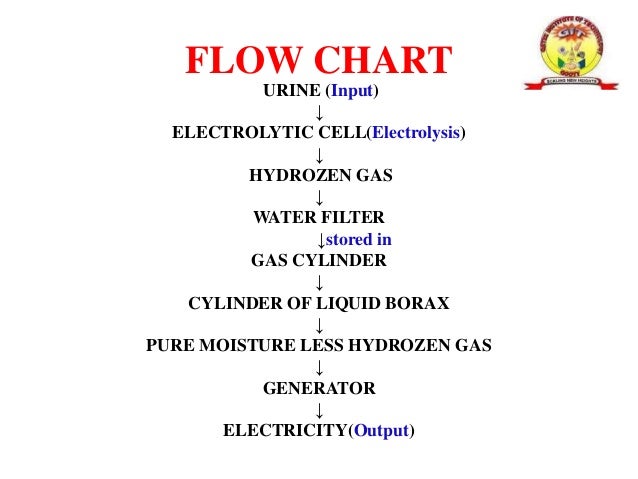 Urine Flow Chart