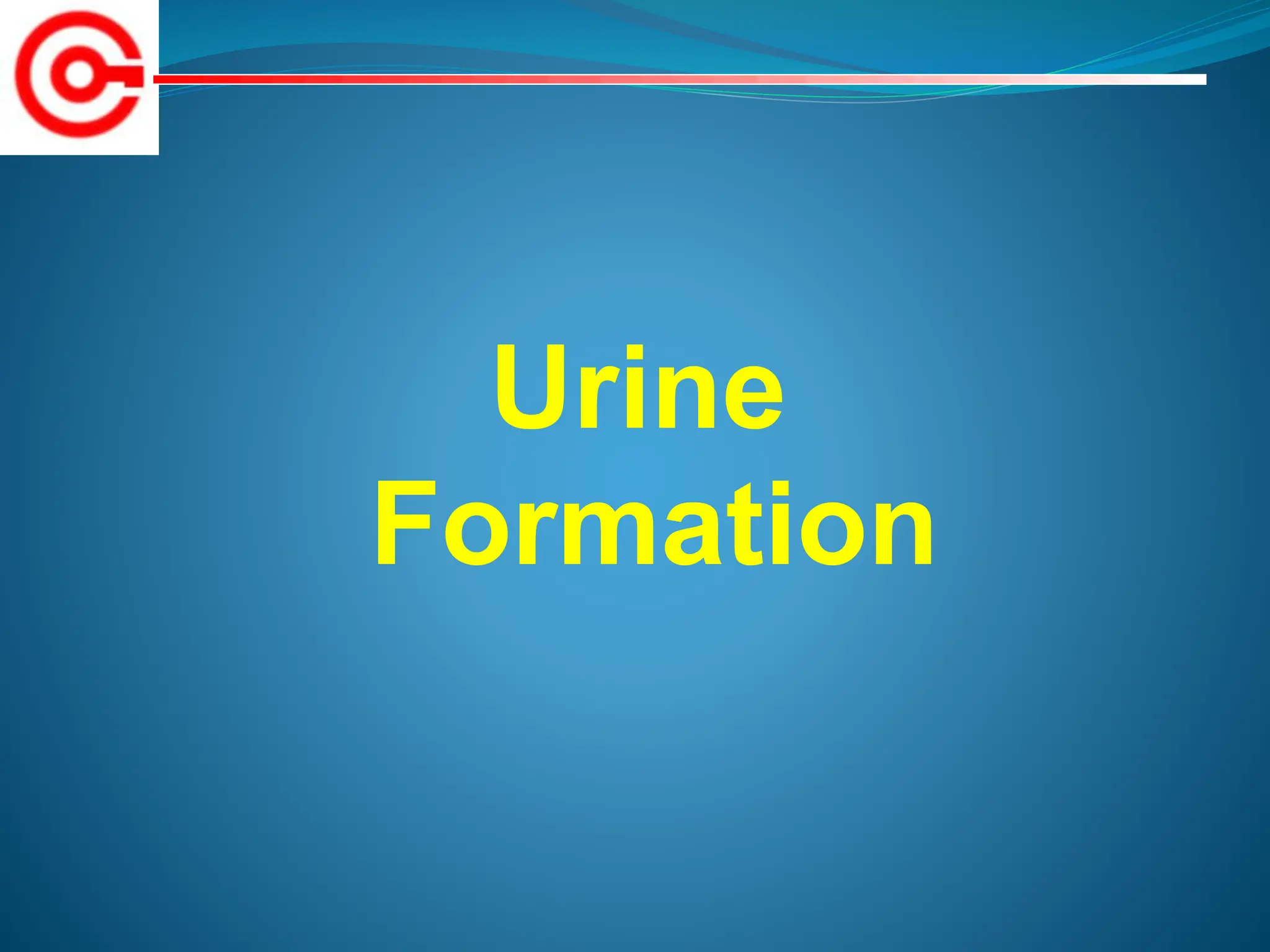 Urineformationppt.pptx A powerpoint on the mechanism of urine production PPT