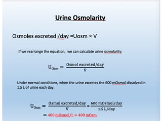 Osmoles excreted /day =Uosm × V
 
