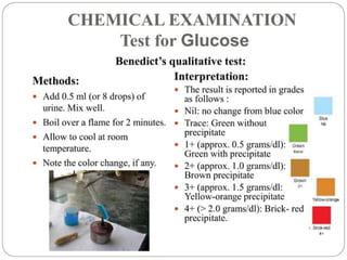 urine alaysis final biochemistry presentation