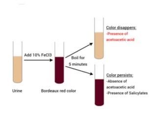 urine alaysis final biochemistry presentation