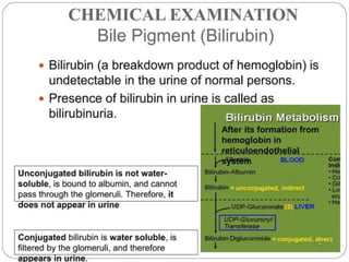 urine alaysis final biochemistry presentation